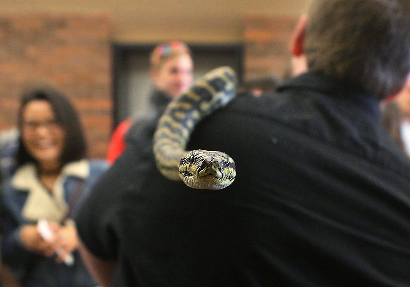 They came a'slithering at the reptile show